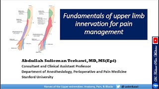 Fundamentals of Upper Limb Innervation for Pain Management [upl. by Gaile]