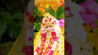 Tum HoShath Mere Pash Mere Love 😍 Song Radha Krishna Devoted ShortVidoe [upl. by Bittner]