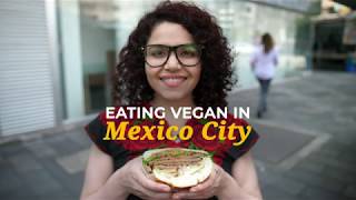 The Best Vegan Food in Mexico City 🇲🇽  The Humane League [upl. by Alemahs]