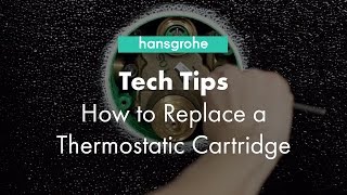 Hansgrohe Tech Tips How to Clean Thermostatic Cartridge [upl. by Ssor]