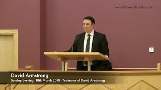 Testimony of David Armstrong [upl. by Lemra]