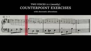 Counterpoint Exercises  2 voice 21 chromatism  Igor Franco on Kent Kennans Workbook [upl. by Buyse623]