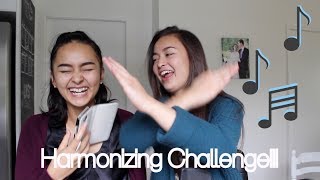 HARMONIZING Challenge [upl. by Assilav]