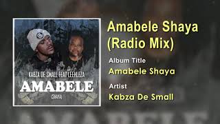 Kabza De Small FT Leehleza  Amabele Shaya Radio Mix Official Song Audio  South Africa Music [upl. by Annadiana]