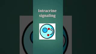 Types of cell signaling [upl. by Airotkciv]