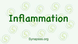 Inflammatory Response Inflammation Pathology  Signs Steps and Pathogenesis Acute and chronic [upl. by Neehar]