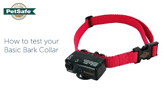 How to fit an Electronic Dog Collar [upl. by Procora]