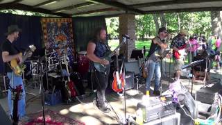 Trouble No More  The Allman Brothers  Neighborhood Picnic Band 2014 [upl. by Klepac]