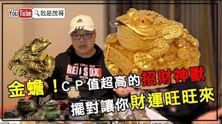 金蟾！CP值超高的招財神獸｜擺對讓你財運旺旺來 [upl. by Yebloc]