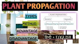 Methods of plant propagation or vegetative reproduction most important topic notes हिन्दीenglish [upl. by Neyu]