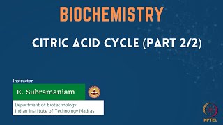 Citric Acid Cycle Part 22 [upl. by Alyel]