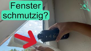 Fenster Schlierenfrei amp Effektiv Putzen Geheimer Trick [upl. by Alegnaed868]