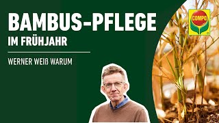 Bambus retten im Frühjahr  COMPO [upl. by Akirdna]