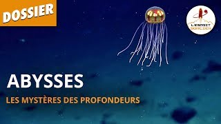 ABYSSES  LES MYSTÈRES DES PROFONDEURS  Dossier 17  LEsprit Sorcier [upl. by Amhser]