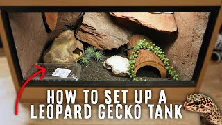 A Beginners Guide To Setting Up A Leopard Gecko Tank [upl. by Damiano558]