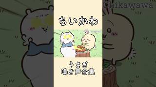 ちいかわうさぎ鳴き声かわいいぃぃぃぃ🫶🏻💗ウラヤハヤハ chiikawa 吉伊卡哇 cute かわいい うさぎ アニメ asmr [upl. by Nataniel]