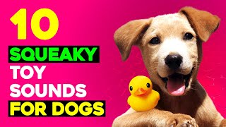 10 Squeaky Toys Sounds for Dogs  Sounds that Call Dogs [upl. by Nasho288]