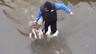 Drowning puppy shows pure joy after rescue [upl. by Tnerb]