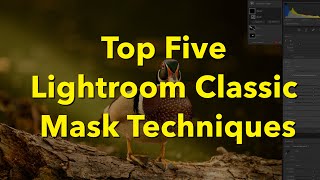 Top Five Masks in Lightroom Classic You Need to Know [upl. by Ahsercal774]