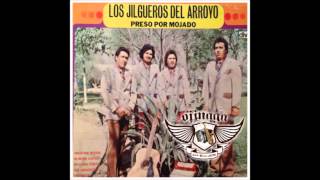 Los Jilgueros Del Arroyo  Mal Agradecida 1974 El Primer Cd [upl. by Moor]