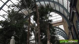 Der Palmengarten im Alexandra Palace [upl. by Mackler]