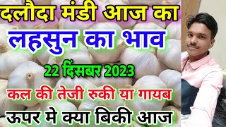 दलौदा मंडी आज का लहसुन का भाव 22 दिसंबर 2023 garlic rate today daloda aaj ka lahsun ka bhav [upl. by Eanal]