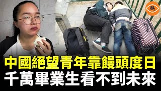 工作找不到，工資低到嚇人 大學畢業做保潔 清華畢業生只能入職小縣城 [upl. by Ilysa656]