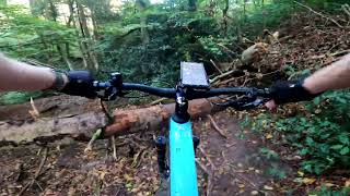 MTB Tecklenburg collection  Teutoberger Whistler [upl. by Ahseret]