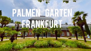 Palmengarten in Frankfurt Summer 2023 4k🇩🇪 [upl. by Narhem]