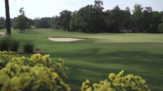 Augusta Country Club Presented by Tee 2 Green [upl. by Radford]