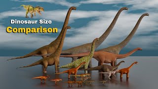 Dinosaur Size Comparison 3D Animation  Animal Size Comparison [upl. by Adam311]