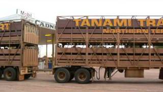 Day 75 Tanami Transport Road Train Cadney Homestead SA [upl. by Anayt]