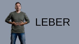 ORGANATMEN LEBERBSPD – Regeneriere deine Leber [upl. by Ecinerev]