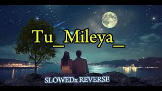 TU MILEYA 🥺🥀  SLOWED  REVERB  LOFI SONG [upl. by Vipul]