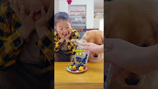 沉浸式给狗狗做寿司，金毛真是馋狗ASMR！Dogs sushi pets puppy cutedog cute funny goldenretrieverpuppy [upl. by Nyret170]