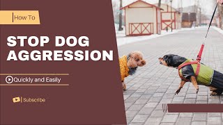 How to stop Dog Aggression quickly And easily  In a few steps [upl. by Humfrey]