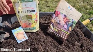 Direct Sowing Onion Seeds In October Zone 7B [upl. by Erland]