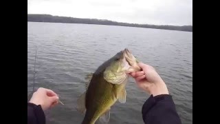 Drop Shot Fishing with Berkley Power Bait 2quot Minnow [upl. by Raman]