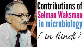 Contribution of Salmona WAKSMAN IN MICROBIOLOGY IN HINDI  streptomycin discovey [upl. by Rowe]