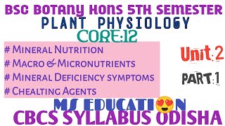 BSC BOTANY HONS 5TH SEM  unit2  part1 Plant Physiology ms education [upl. by Pierrette]