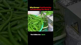 Why Korean Food Factories Are Shocking The World food cookingshorts cooking [upl. by Evita]