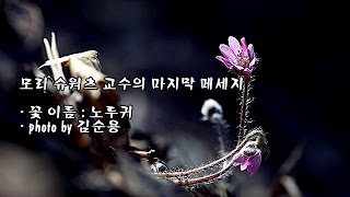 모리 슈워츠Morrie Schwartz교수의 마지막 메세지 amp photo by 김순용 [upl. by Nohsyar]