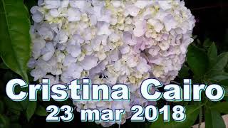 Cristina Cairo 23032018 O Signo de VirgemIntestinoSNC [upl. by Alacim]