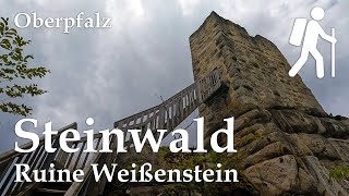 Platte Steinwald Ruine Weißenstein Oberpfalzturm Fichtelgebirge  Wandern in Bayern  4K [upl. by Cynde]