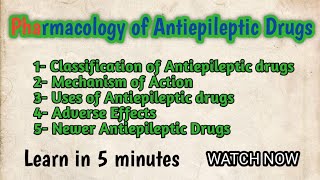 Pharmacology of Antiepileptic Drugs l Mechanism of Action l Classification l Newer Antiepileptics [upl. by Amak]