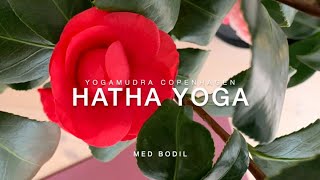 Hatha yoga med Bodil på dansk [upl. by Naelopan]