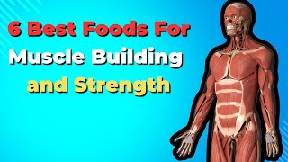 6 Best Foods for Muscle Building and Strength [upl. by Kendricks]