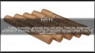 Gelignite Top  5 Facts [upl. by Michaela135]