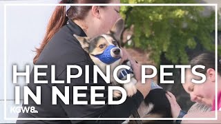 Free pet clinic held for homeless people in Portland [upl. by Neelrad]