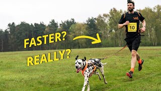 Do you REALLY RUN FASTER with a DOG Canicross training tips [upl. by Enneirdna171]